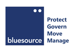 Bluesource Logo